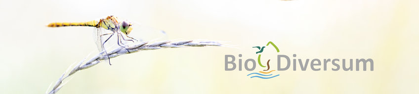 Biotope Blog