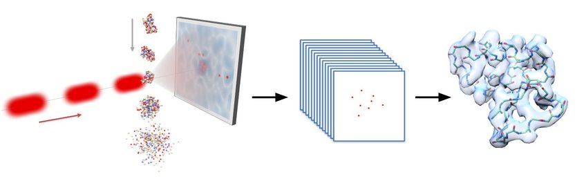 Single Molecule Ultrafast X-Ray Diffraction