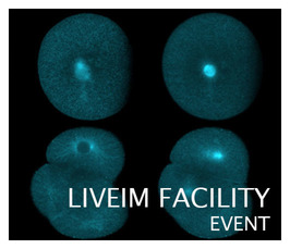 Liveim Facility Event: Demo of SONY SH800 FACS (29.10 - 30.10)